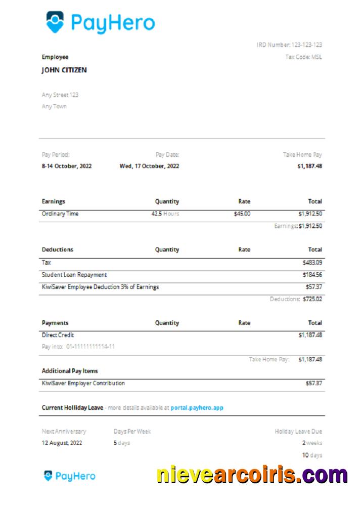 USA PayHero financial company pay stub